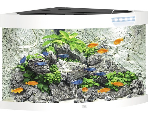 JUWEL Trigon 190 aquarium met LED-verlichting, filter, verwarming (zonder kast), wit