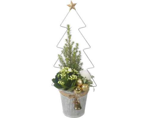 Kamerplanten arrangement Mini Kerstboom FloraSelf Ø 13 cm zinken pot