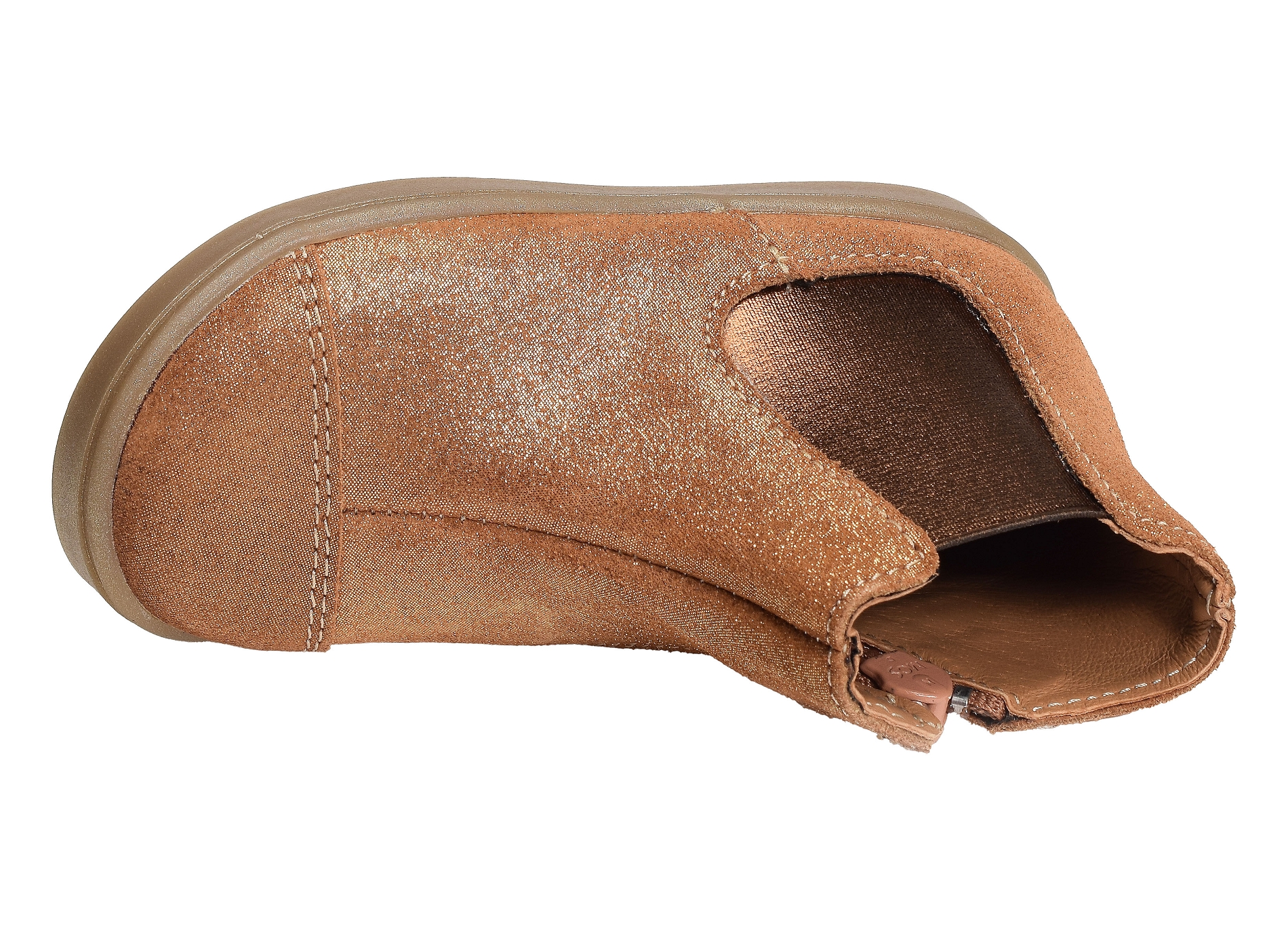 Celiimene camel