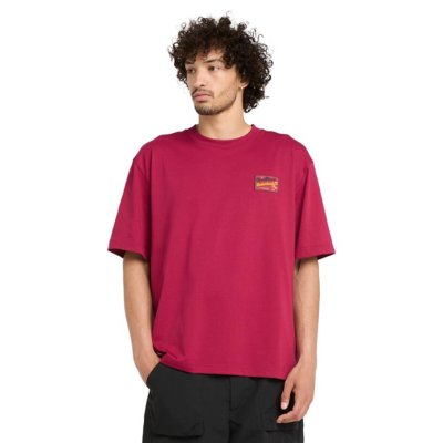 Tee-shirt à manches courtes homme Graphic TIMBERLAND