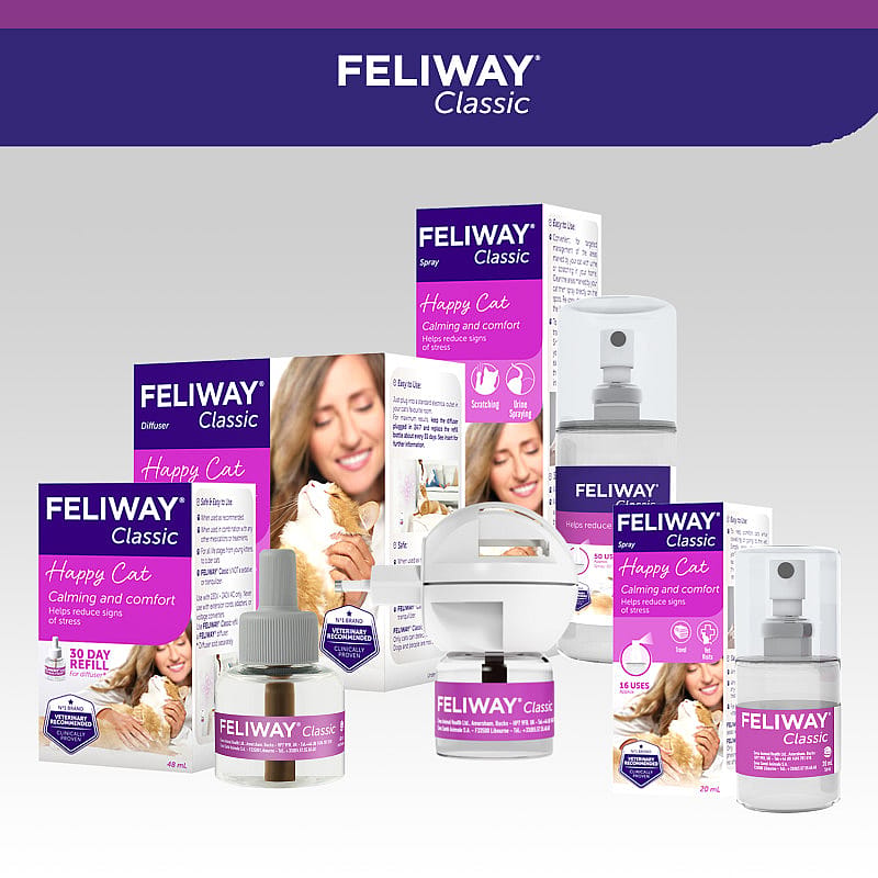 Feliway Verdamper Kat