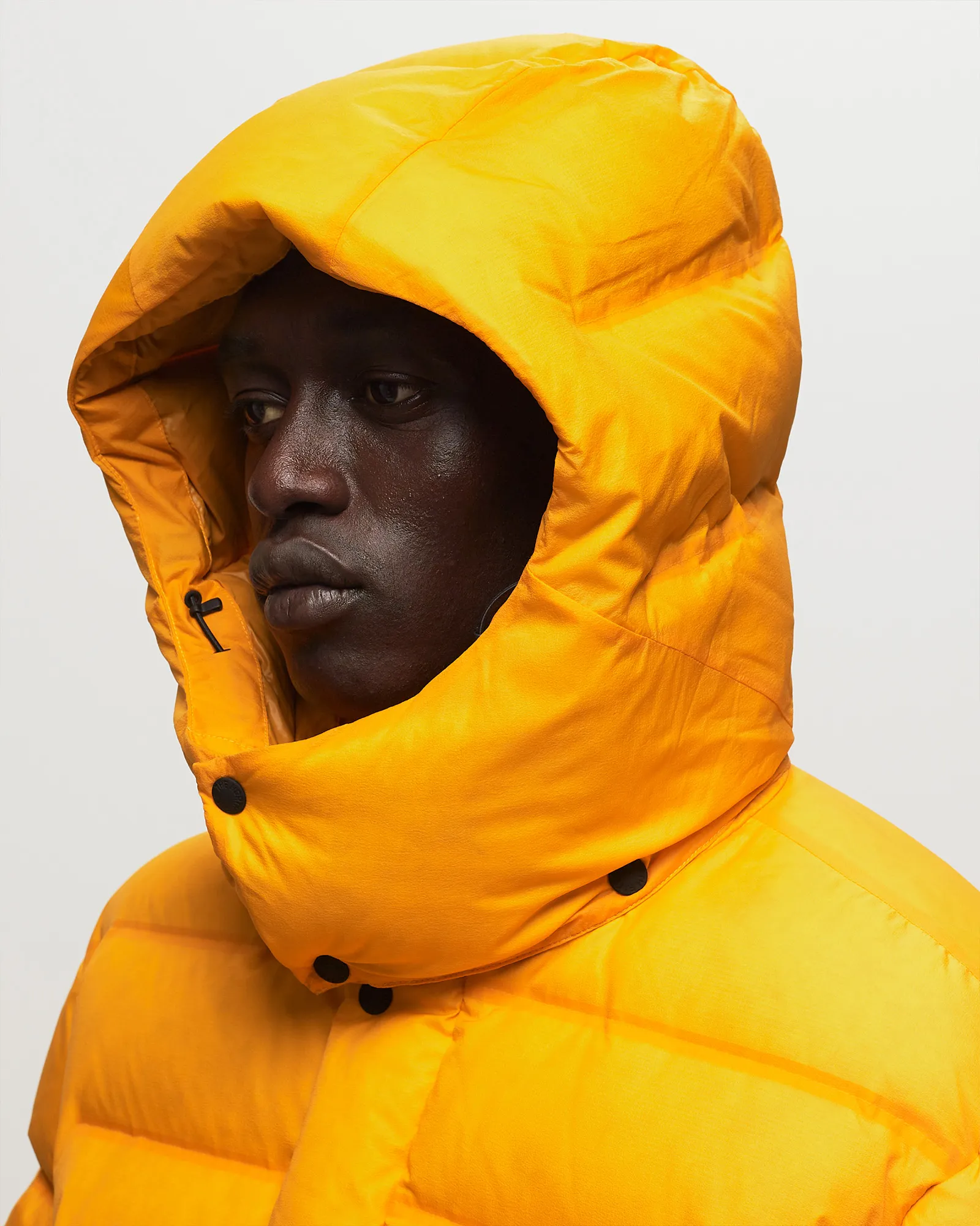 The North Face Rmst Sierra Parka