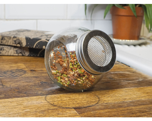 Kiempot mijn oogst incl. startersportie biologische zaden