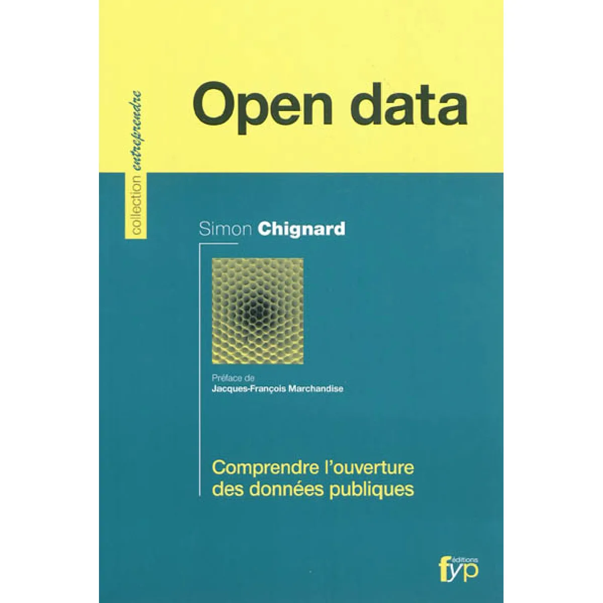 Open data : comprendre l'ouverture des données publiques · Occasion
