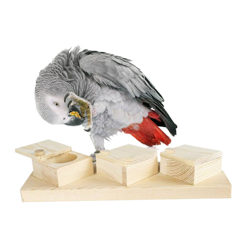 Back Zoo Nature Brain Trainer Cups