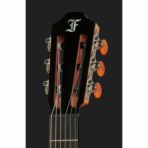 Furch GNc2-CW w/ LR Baggs EAS-VTC Nylon