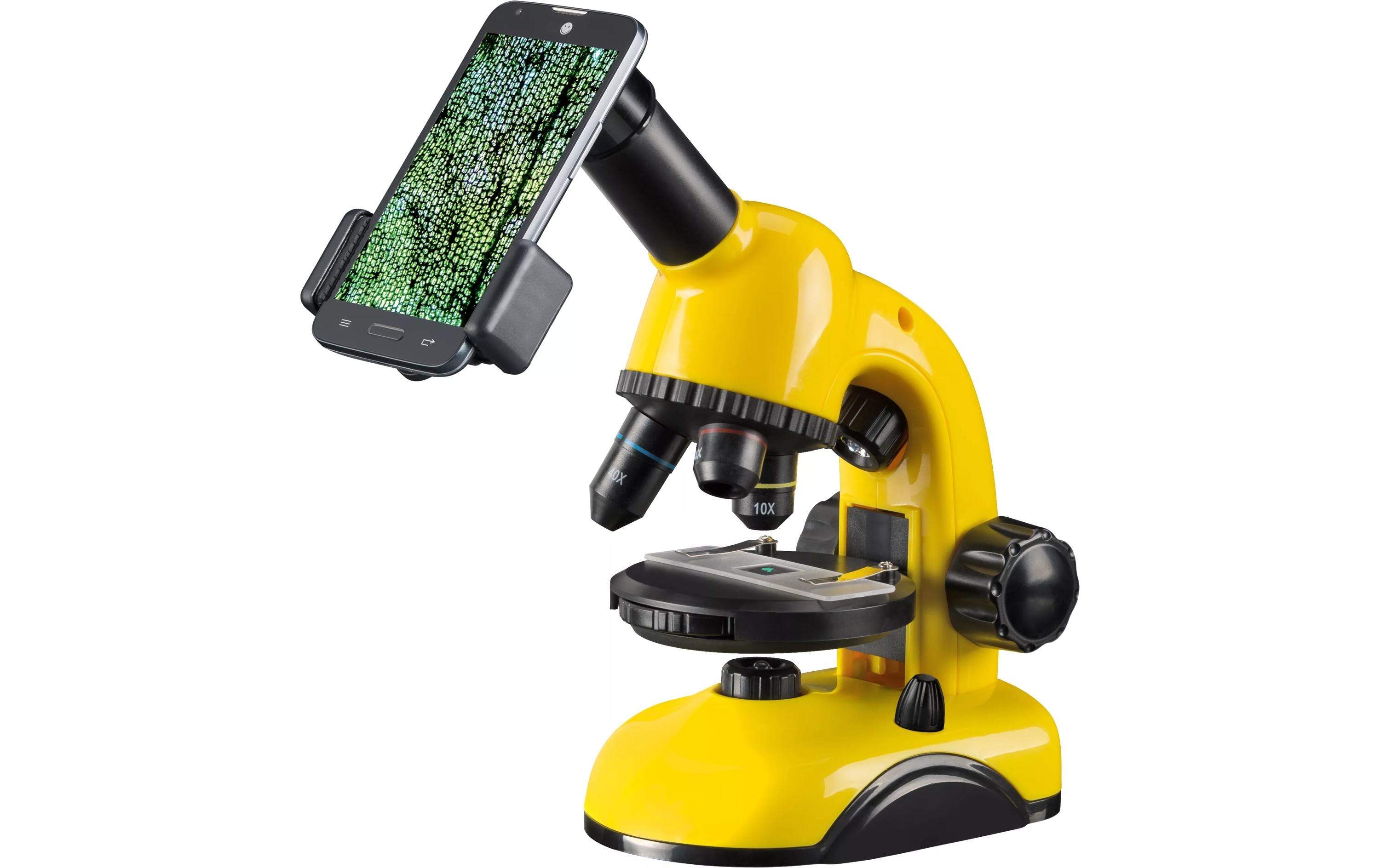 Mikroskop 40x-800xKinder-Mikroskop mit Smartphone-Halterung
