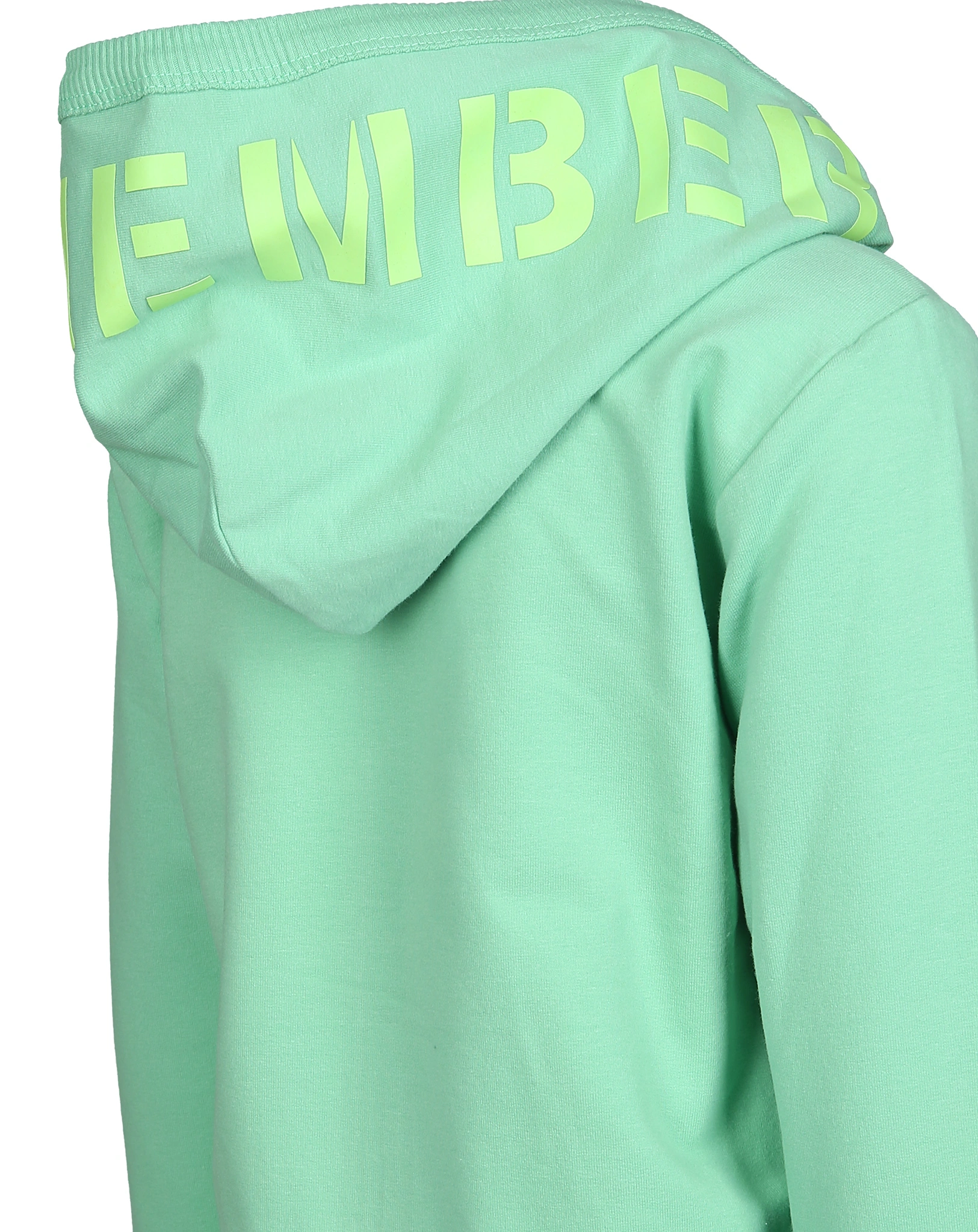 Kapuzen-Sweatjacke ELA SAURS in jade green