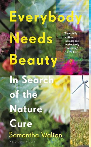 Everybody Needs Beauty: In Search of the Nature Cure (Hardback)