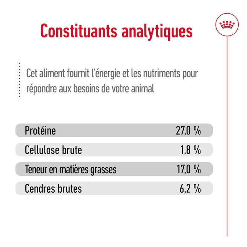 Royal Canin Maxi Ageing 8+ à prix discount sur bitiba.fr