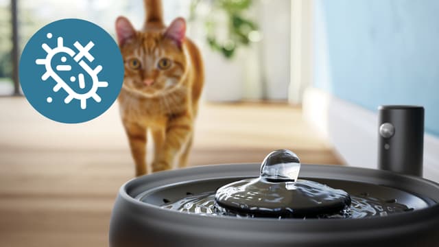 Philips Pet Series vandfontæne PAW3210/02 (black)
