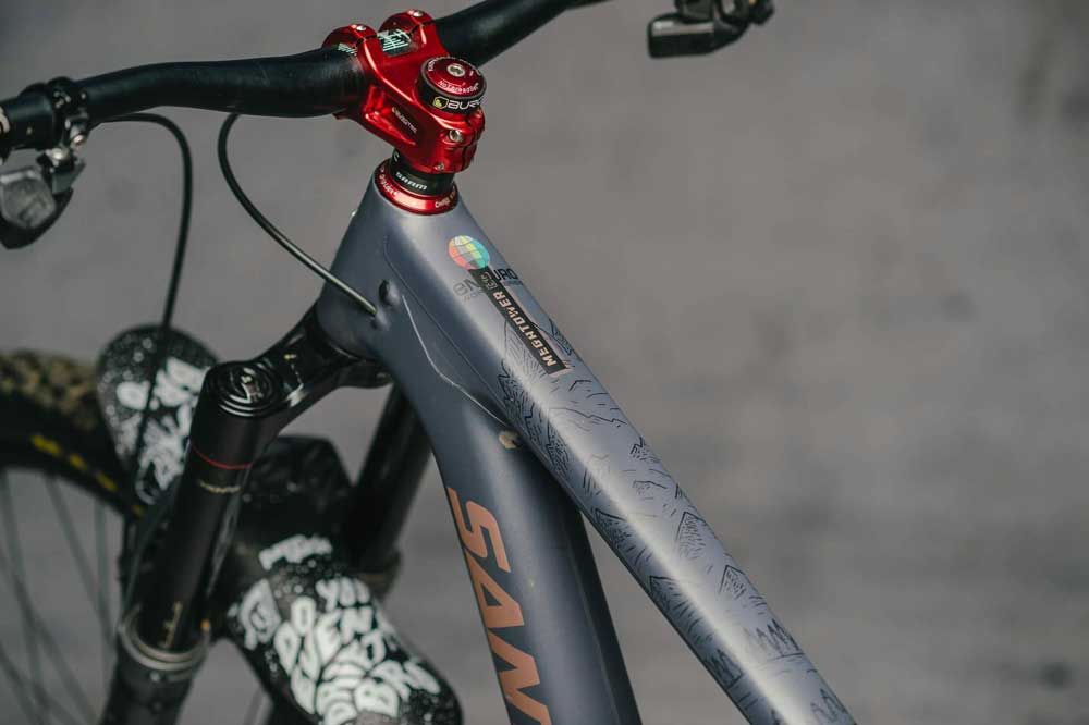 DYEDBRO EWS Mountains Rahmenschutz Kit kaufen | Bike-Discount