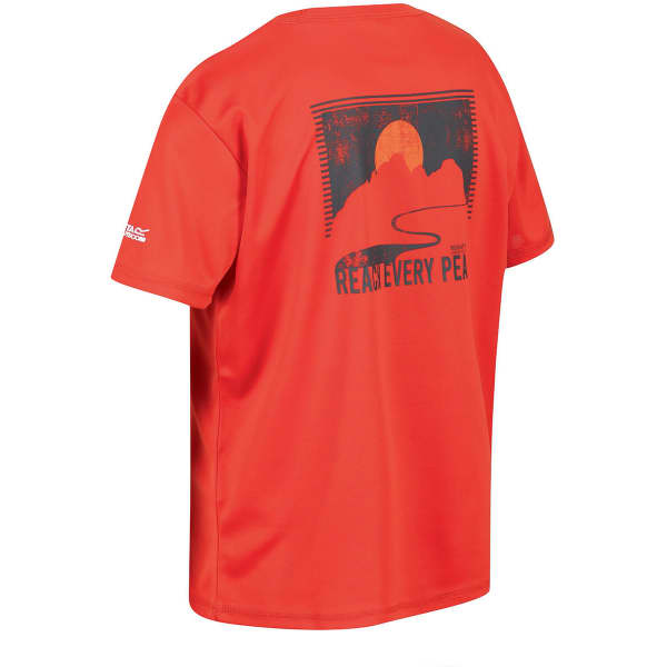 T-shirt randonnée REGATTA ALVARADO VII RUSTY ORANGE