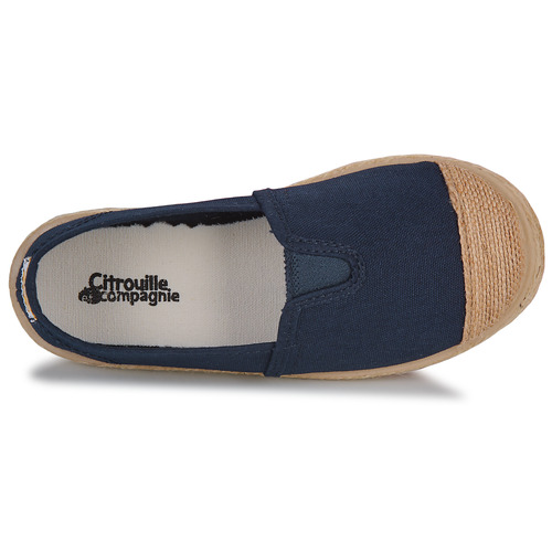 Citrouille et Compagnie - DINOCLE - Marine