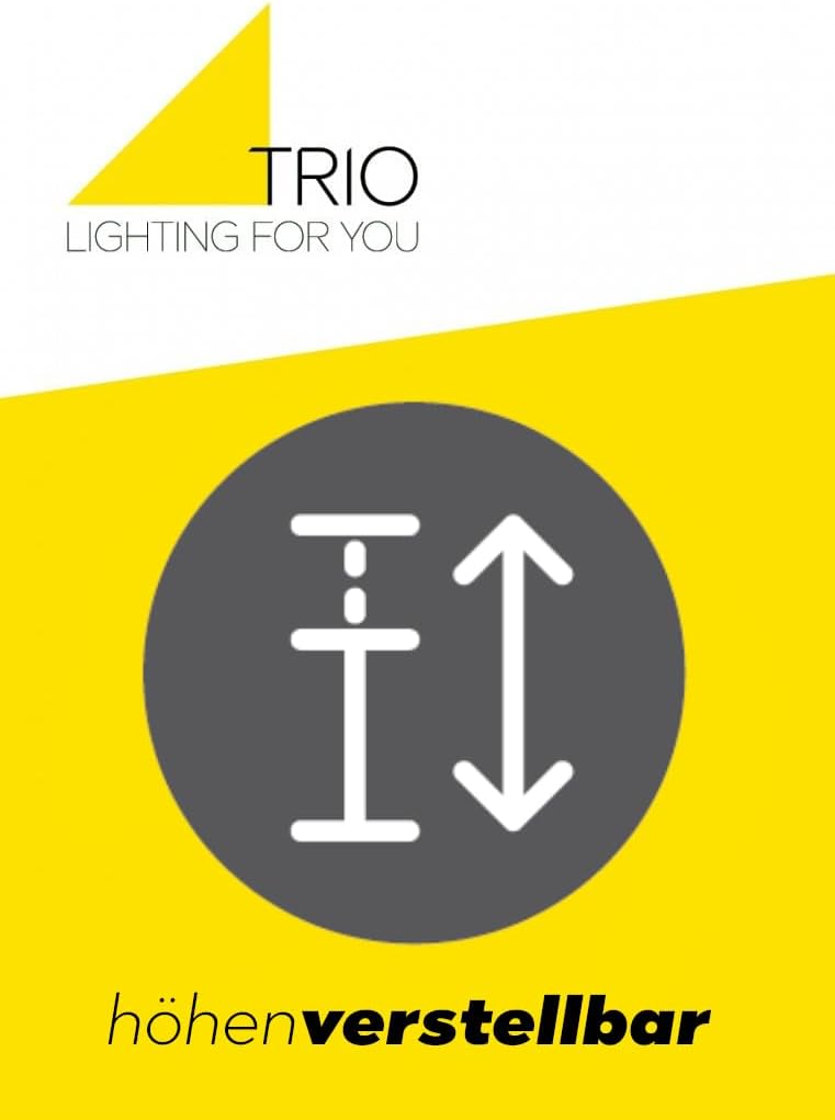 Trio Leuchten LED Pendelleuchte Franklin 326510342, Metall Anthrazit, inkl. 2x 9 Watt LED, Switch Dimmer