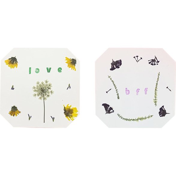 Presse   fleurs et feuilles - 20,5 x 18 cm - 1 pc