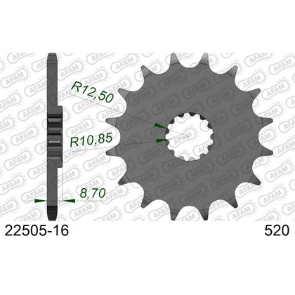Kit chaine AFAM 520 Type Acier
