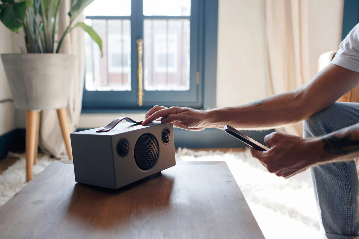 Audio Pro Addon T3  Gris Enceintes Bluetooth portables