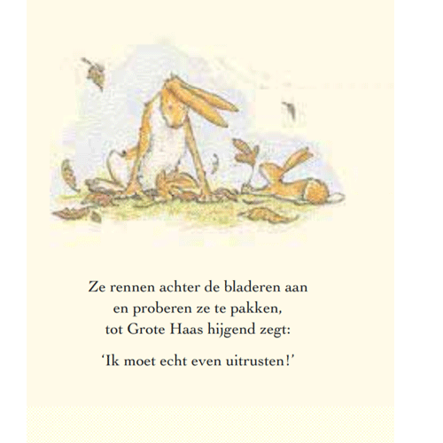 Uitgeverij lemniscaat raad eens hoeveel ik van je hou - een heel jaar lang