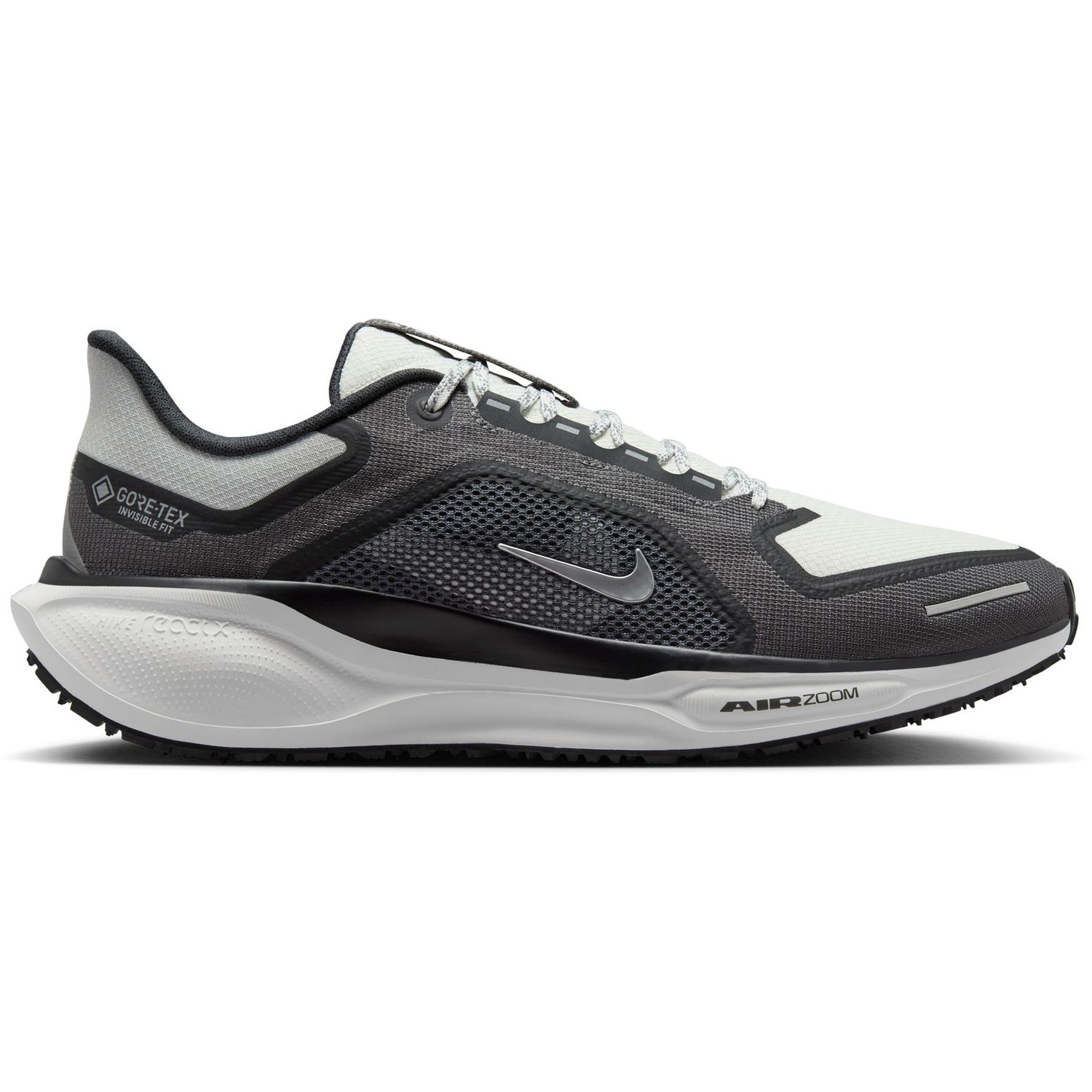 Nike Pegasus 41 GTX Heren