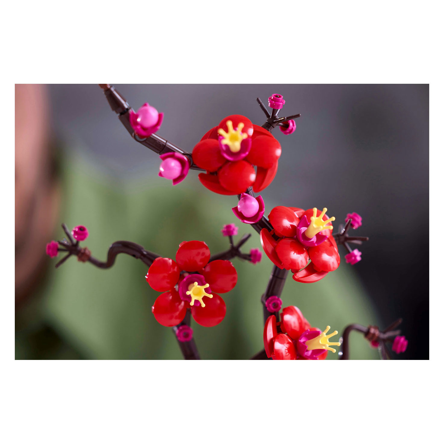 LEGO Botanicals 10369 Japanse Abrikoos