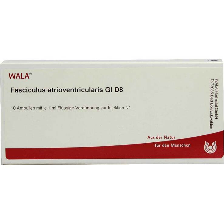 Fasciculus atrioventr. GL D 8 Ampullen, 10X1 ml