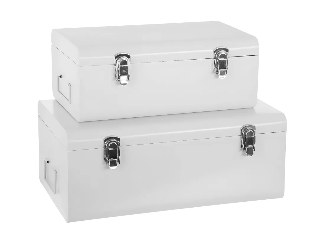 Lot de 2 Malles de Rangement Métal 