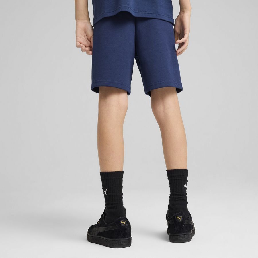 Puma Portugal Casuals Shorts
