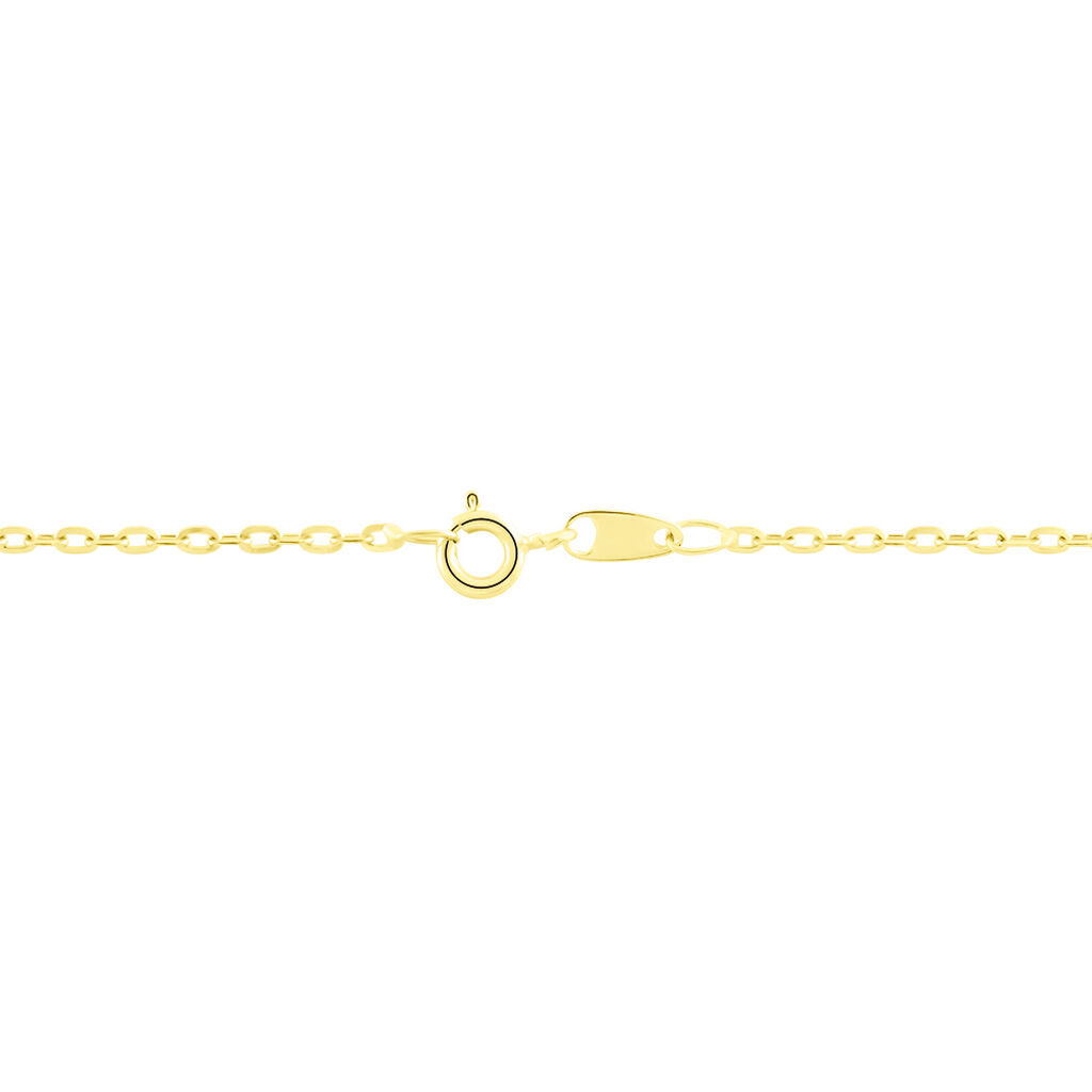 Chaîne Igoa Maille Forçat Diamantee Or Jaune
