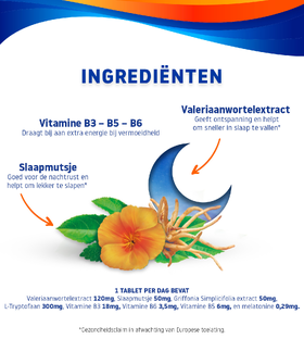 Valdispert Slaap & Nacht tabletten 30TB