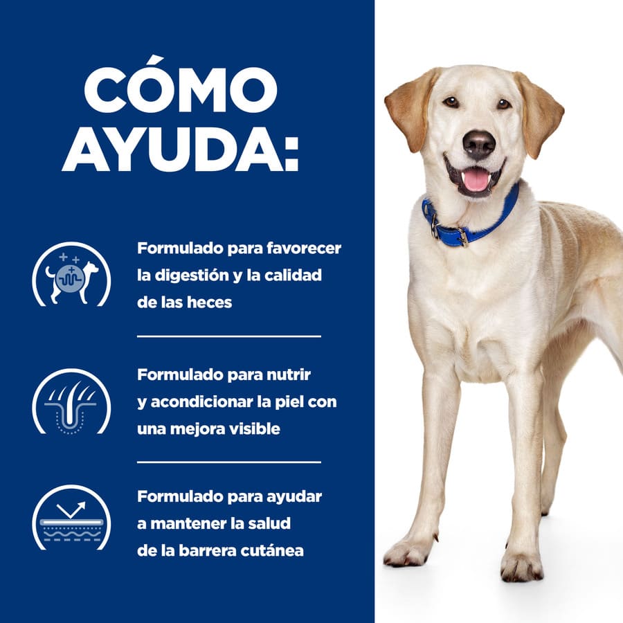 Ração Hill's Prescription Diet Food Sensitives d/d para Cães com Pato