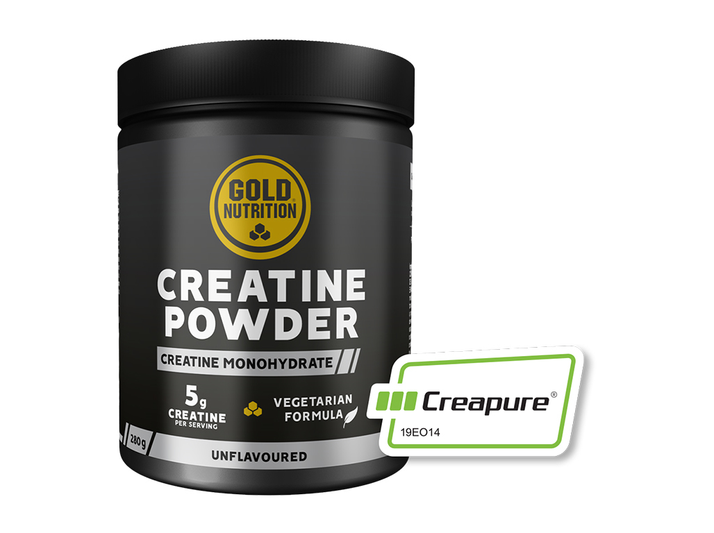 SUPLEMENTO GOLDNUTRITION CREATINE POWDER 280G