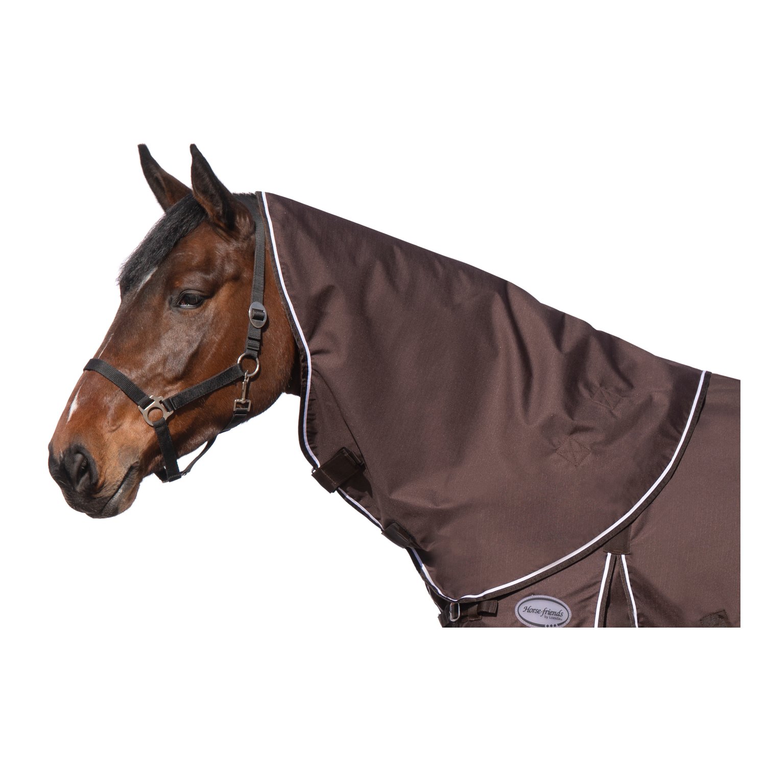 Horse-friends Halsteil Hamburg  - darkbrown