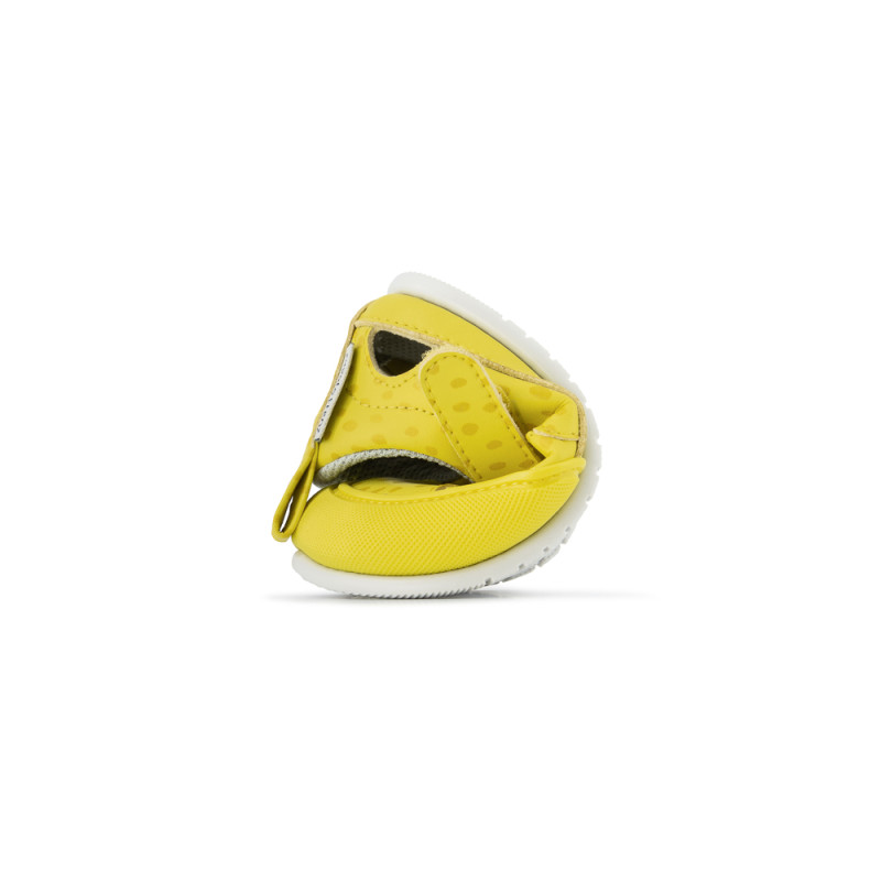 Zapato feroz Zapato Feroz Féroces Irta Ulises Amarillo