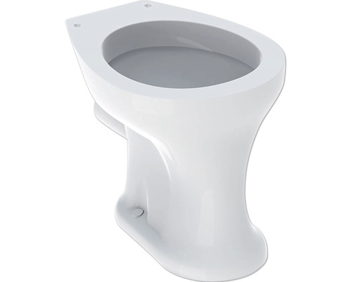 GEBERIT staande kindertoilet, model Bambini, vlakspoel met rand, glanzend wit, zonder toiletzitting 211500000