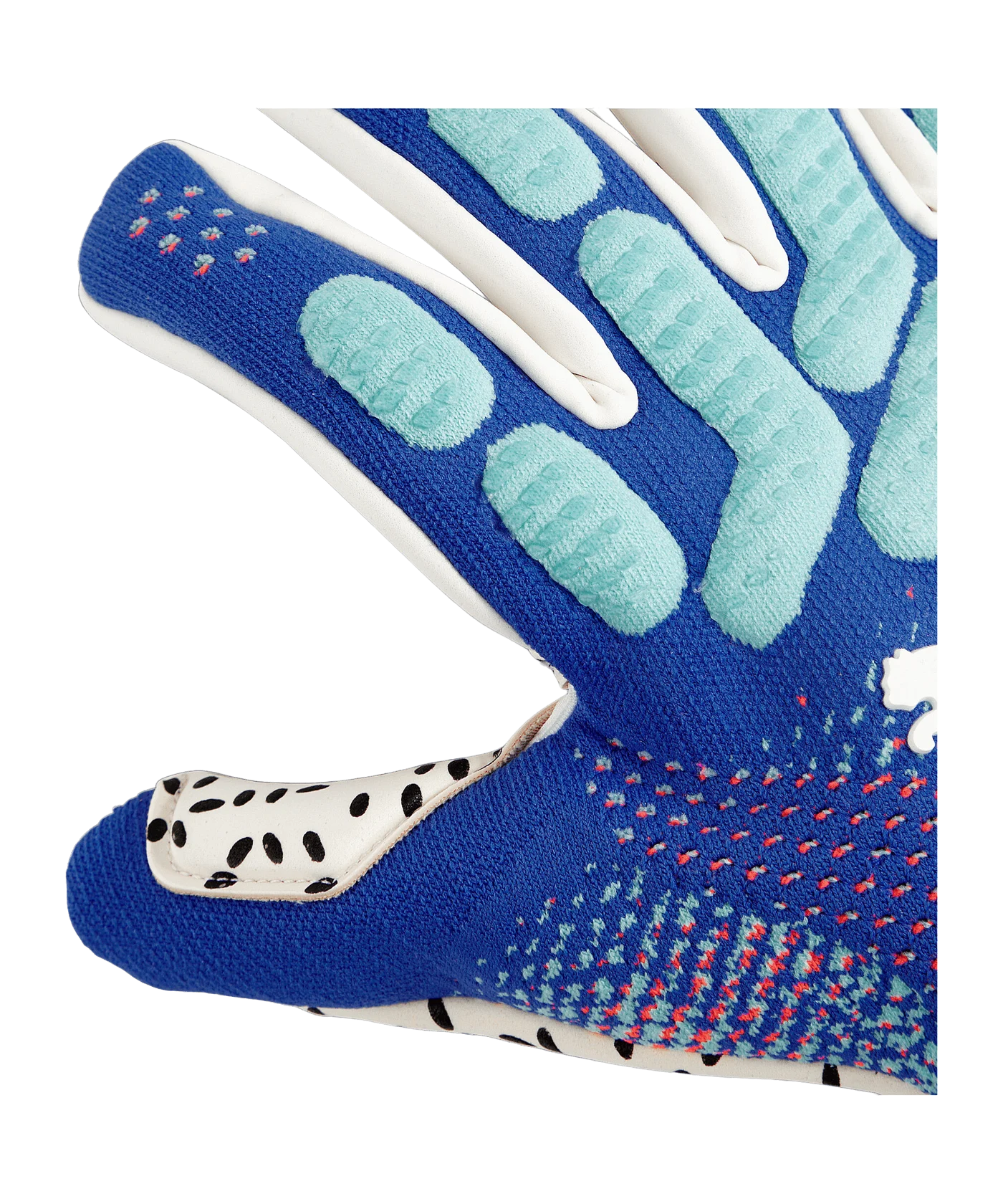 PUMA FUTURE Ultimate NC Torwarthandschuhe Formula Blau F01