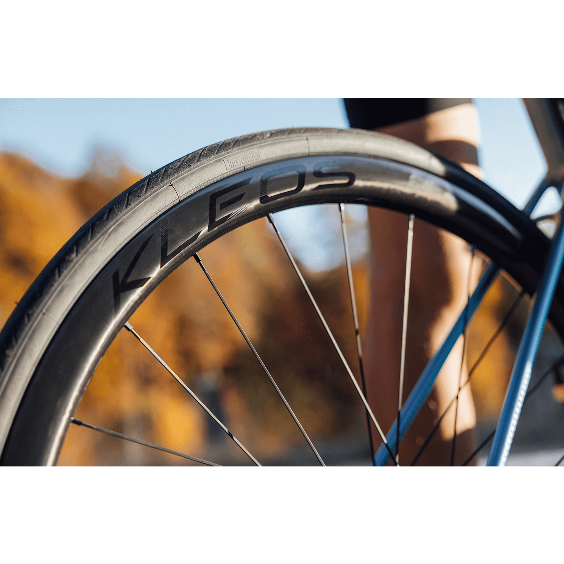 Miche Kleos 36 Racefiets Wielset