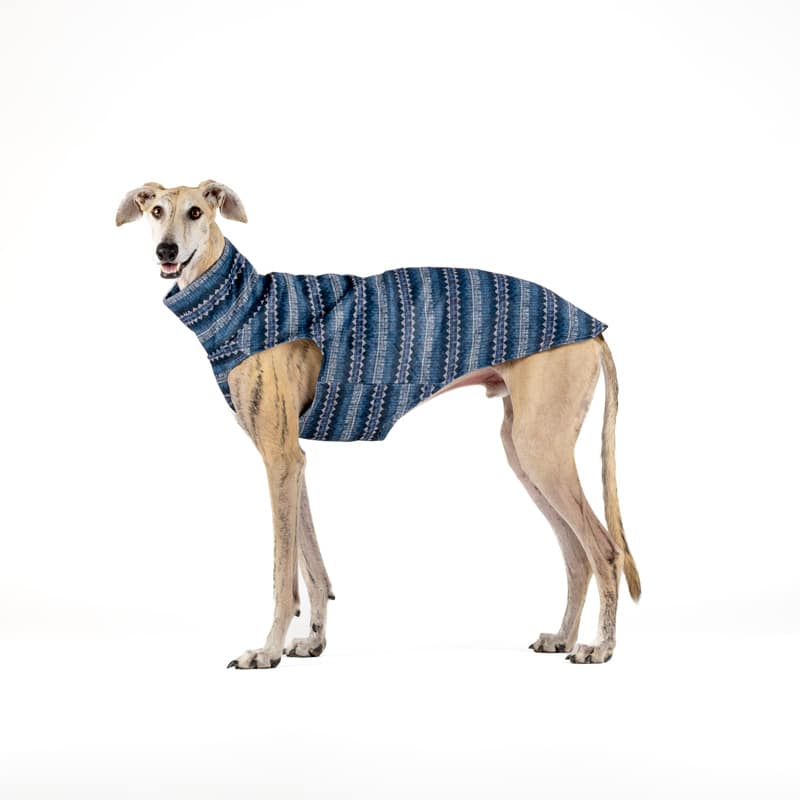 Camisa de lã elegante CandyPet para cães da raça Greyhound.