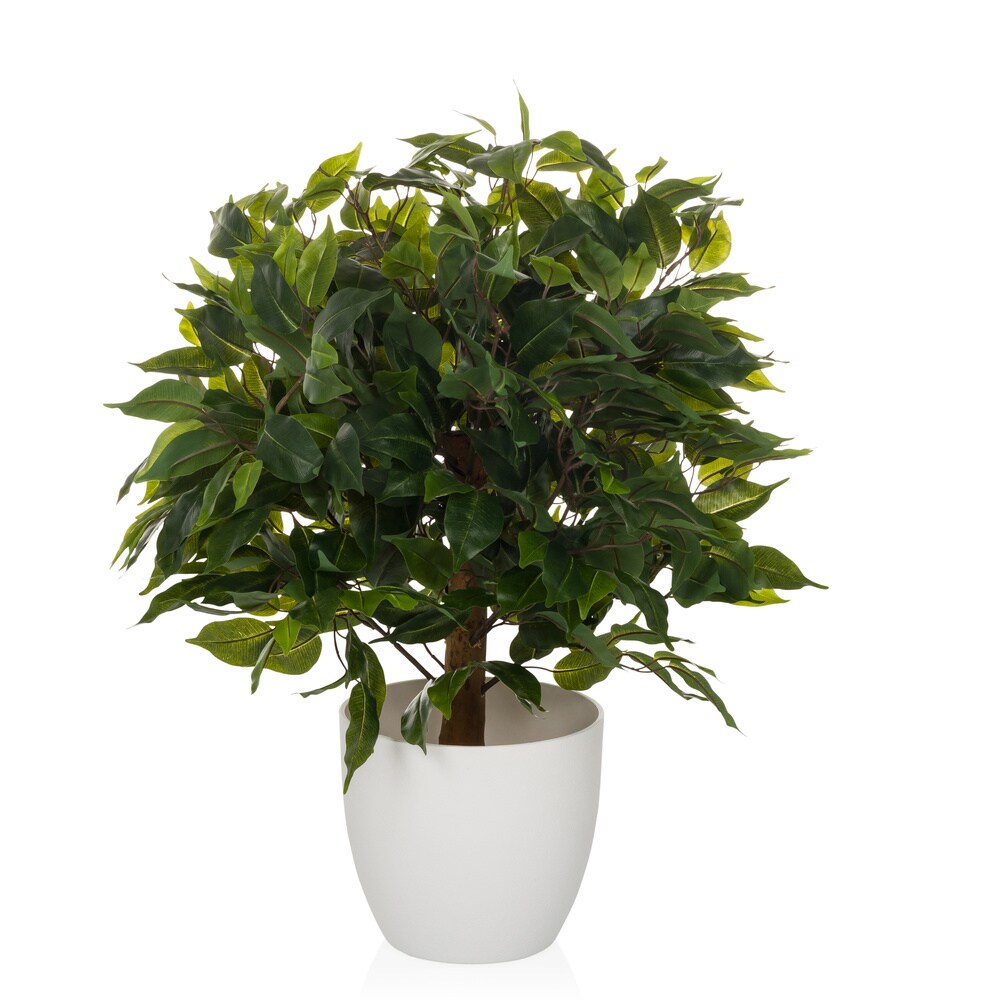 Kunstpflanze FICUS II Kunststoff hjh OFFICE