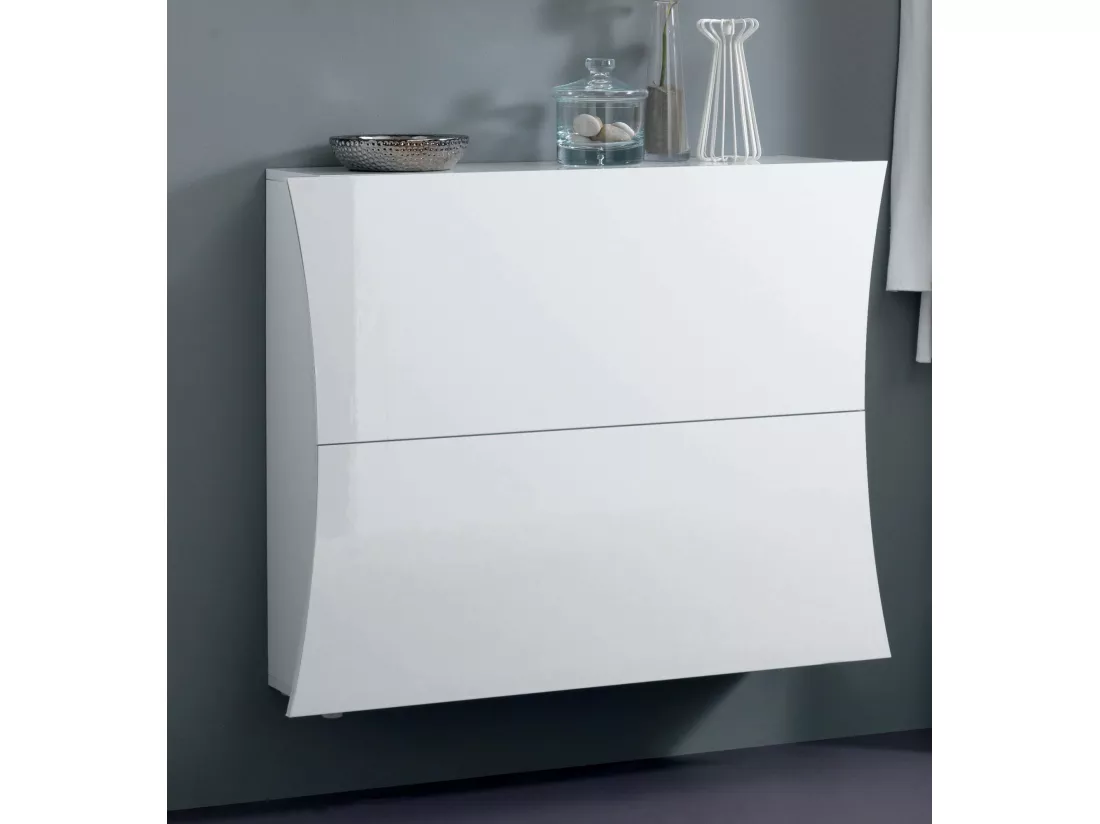 Étagère à chaussures Ddadd, Armoire polyvalente avec 2 portes, Étagère à chaussures d'entrée, 100% Made in Italy, 101x27h82 cm, Blanc brillant