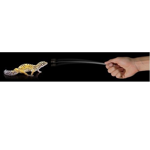 Saco de ração Movebite para gecko leopardo e pogona, sabor tenebrio.