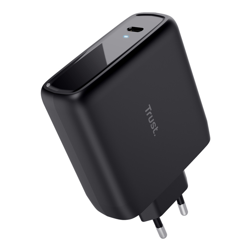 Lader med USB C-kabel 100 W 5-20 V/5 A 110/230 V