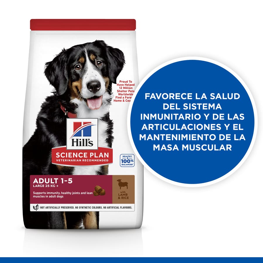Ração Hill's Science Plan para Cães Adultos de Porte Grande com Cordeiro