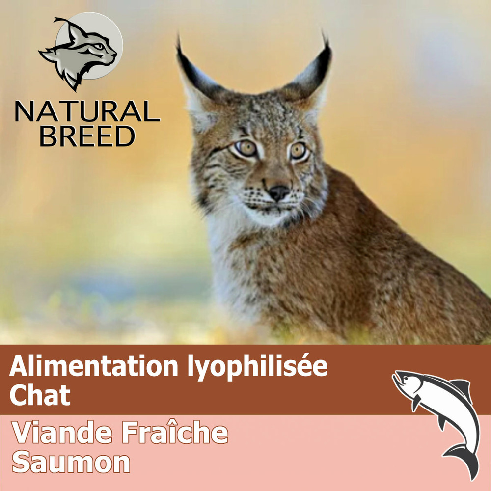 Wild lyophilisé salmon cat - lyophilisé chat, saumon frais sans céréales, 200g