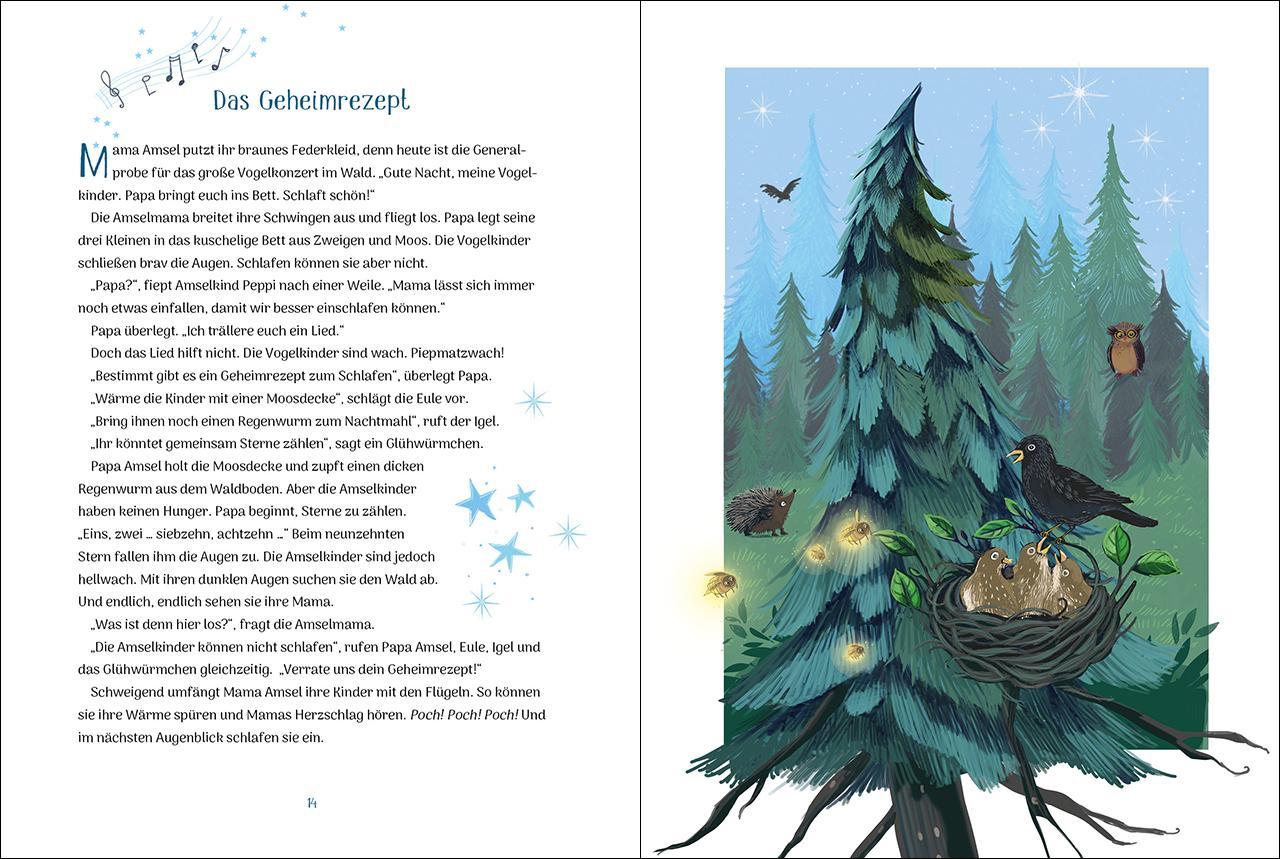 33 Vorlesegeschichten zum Kuscheln und Träumen / Der kleine Traumsegler Bd.4