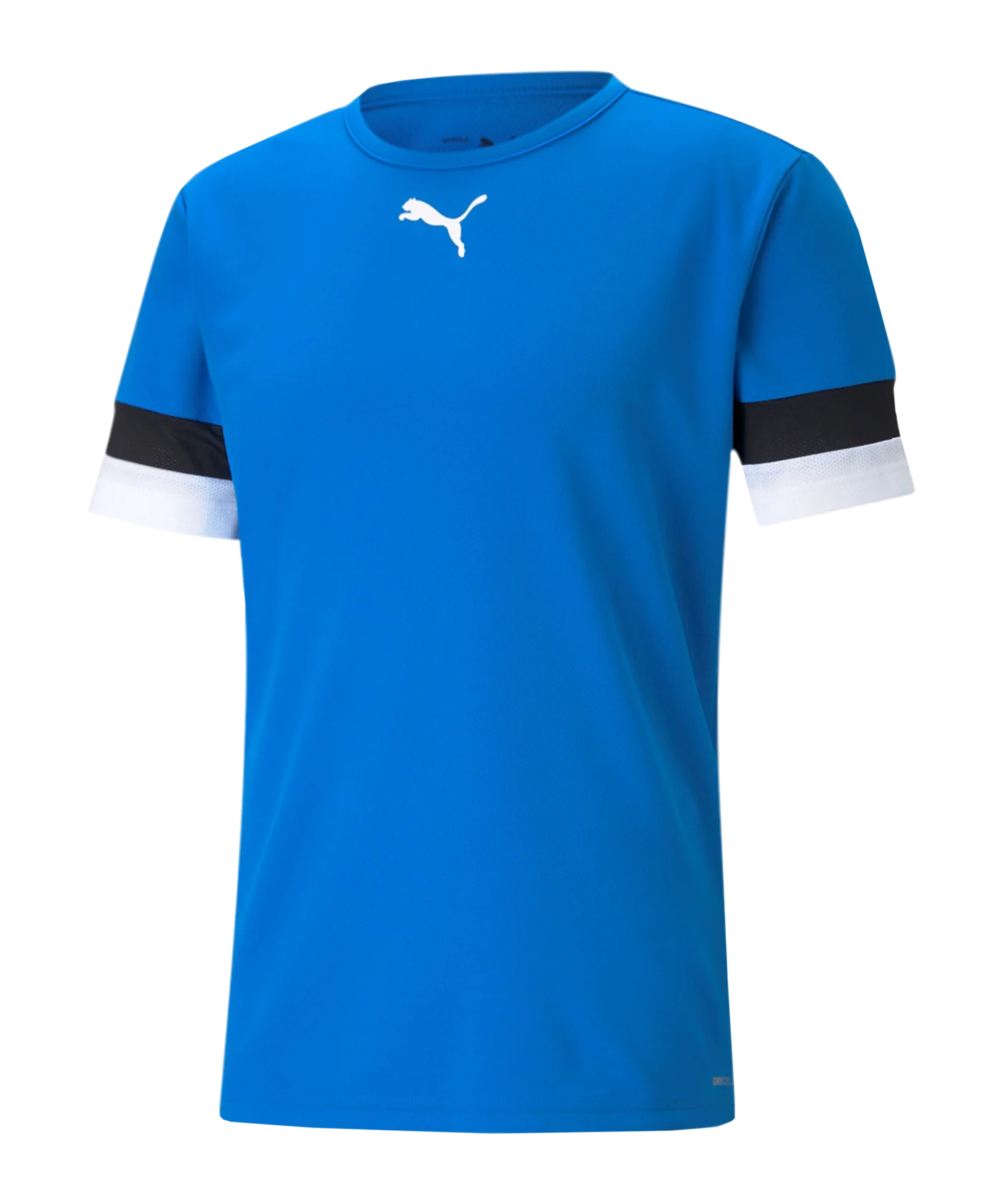 PUMA teamRISE Trikot Blau F02