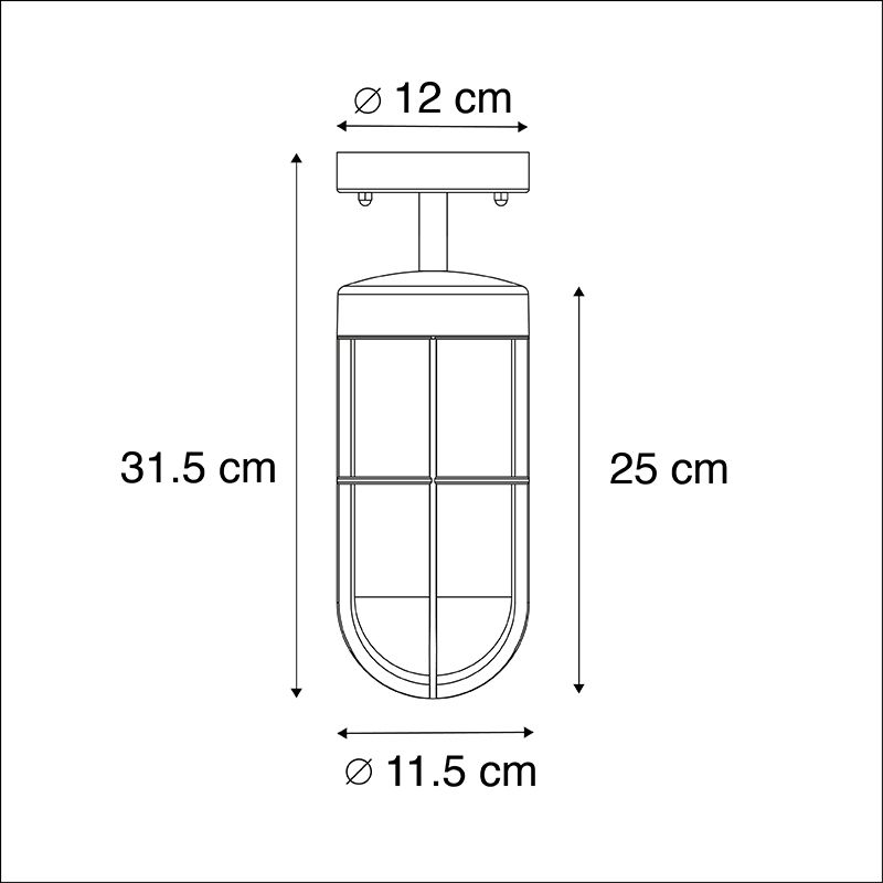 Landelijke buitenplafondlamp zwart met glas IP44 - Elza