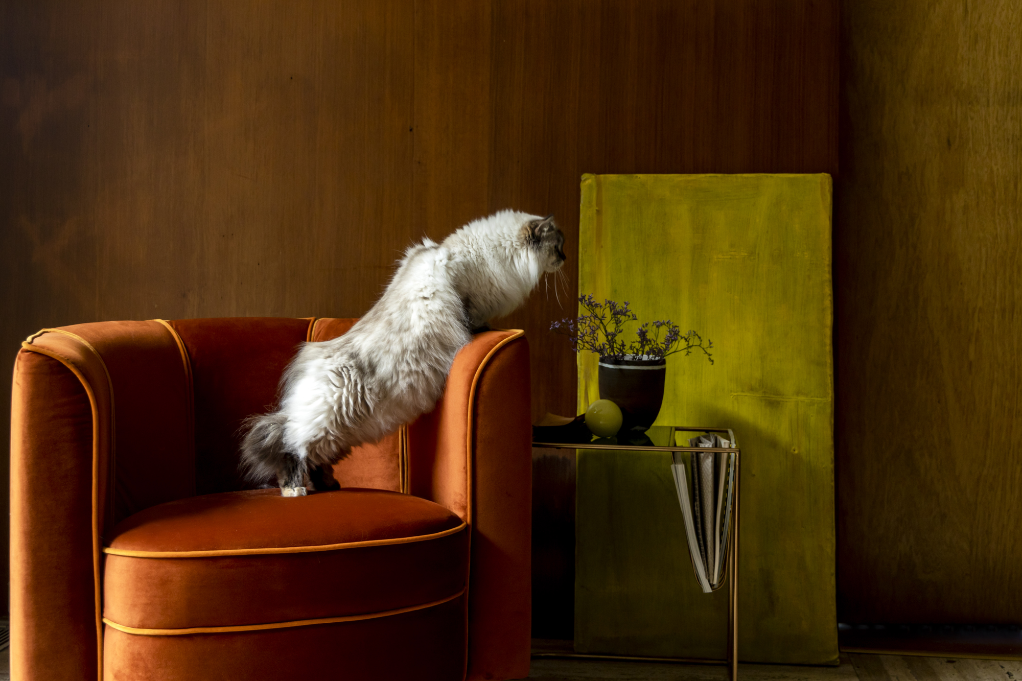 Lounge chair Flower Zwart