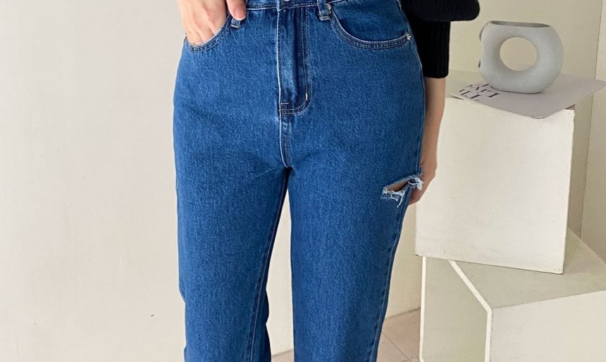 Brigitte - Lange mouwen ronde hals effen geribbelde slim-fit gebreide top