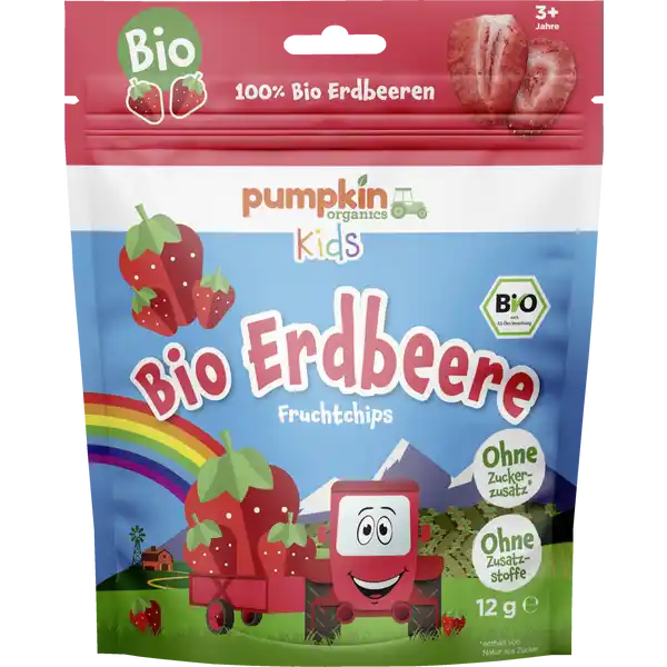Bio Erdbeere Fruchtchips